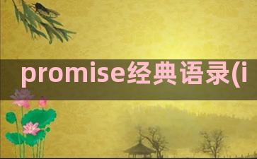 promise经典语录(i promise you)